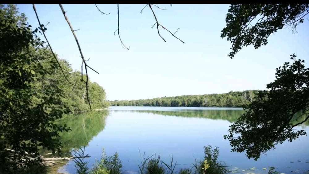 Fin de journée chill