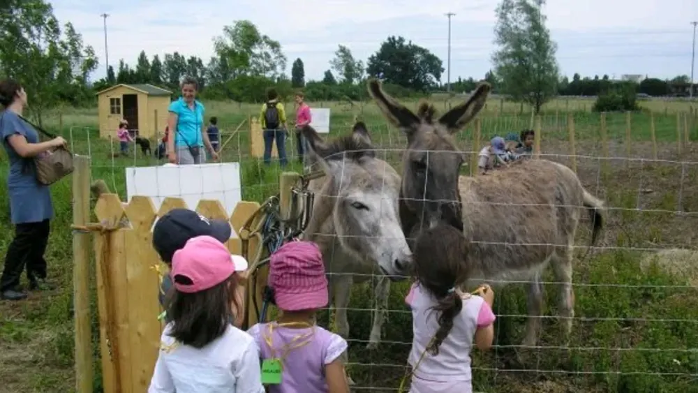 🌿 Sortie maman/enfant à la Ferme des Cinquante 🌿