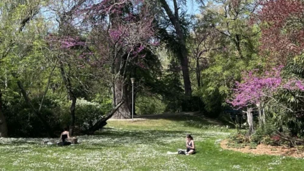 Jardin des plantes