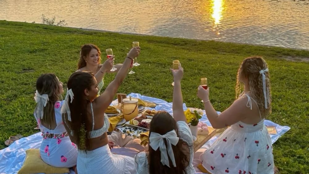Picnic (avant qu'il y est plus de soleil 😭)