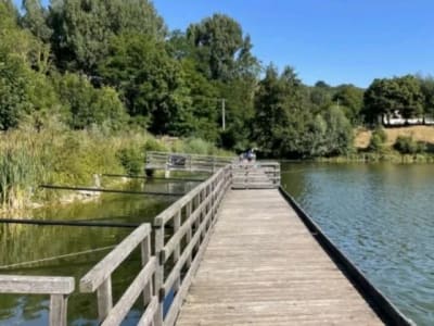 Balade près de l'eau