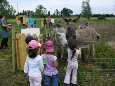 🌿 Sortie maman/enfant à la Ferme des Cinquante 🌿