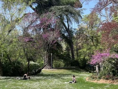 Jardin des plantes